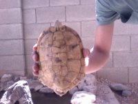 Video Snapshot-15.jpeg
