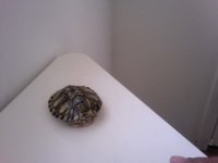 Video Snapshot-6.jpeg