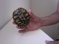 Video Snapshot-7.jpeg