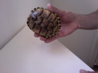 Video Snapshot-4.jpeg