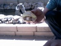 Video Snapshot-7.jpeg