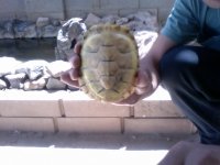 Video Snapshot-8.jpeg