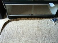IMG_0538.jpg