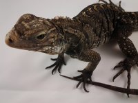 20120608_150100.jpg