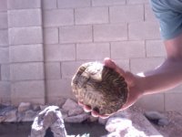 Video Snapshot-10.jpeg