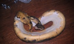 IMAG0481.jpg