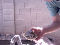 Video Snapshot-11.jpeg