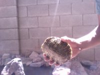Video Snapshot-13.jpeg