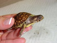 Baby 5b.jpg
