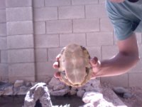 Video Snapshot-12.jpeg