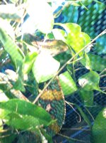 IMG_0102.jpg