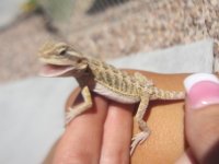 IMG_0537.jpg