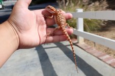 IMG_1013.jpg