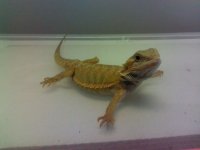 IMG_20120609_122939.jpg