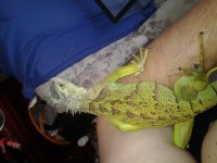 2012-03-06 12.08.35.jpg