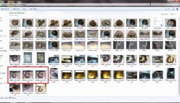 comp pict.jpg