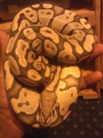 IMG_20120519_204753.jpg