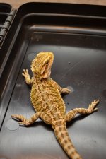DSC_0461.jpg