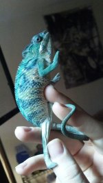 2012-06-13_21-26-36_864.jpg
