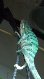 2012-06-13_21-27-20_426.jpg