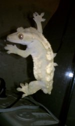 IMAG0409.jpg