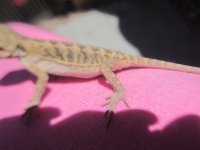 IMG_0534.jpg