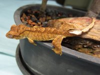 IMG_1848.jpg