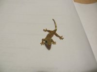 IMG_0352.jpg