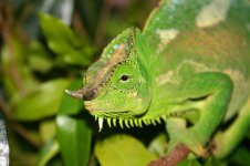 IMG_5106.jpg