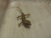 IMG_0374.jpg