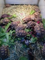 4-28-12 051.jpg