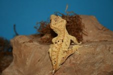 ac12_5-15-12.jpg