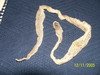 100_0278_resize.jpg