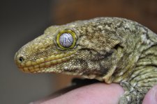 DSC_0589.jpg