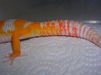 DSCN4563.JPG