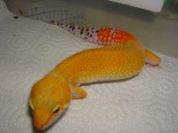DSCN4575.JPG