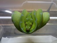2010-01-15 15.59.14.jpg