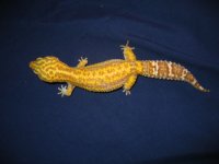 IMG_2559.JPG