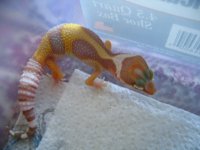 IMG_3104.JPG