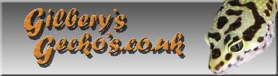 banner1.jpg