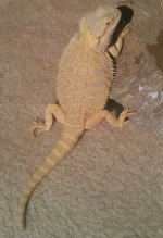 IMAG1063-1.jpg