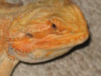 IMG_8265.JPG