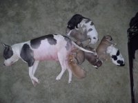 20120606_184520.jpg