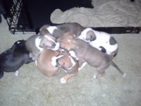 20120607_144742.jpg