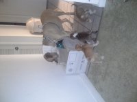 20120613_211256.jpg