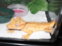 tyler camera 052.jpg