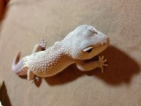 IMG_2015[1].jpg