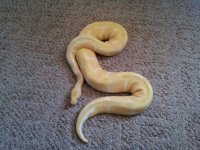 20120719_140234.jpg