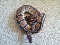 20120719_140410.jpg