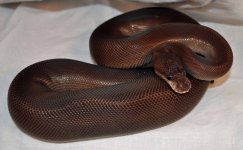 black pastel super.jpg